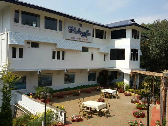 Hotel Blueberry Inn Shillong Main Image