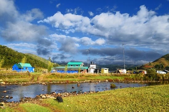 Maple Pine Farm Bed and Breakfast Shillong Side Image 2